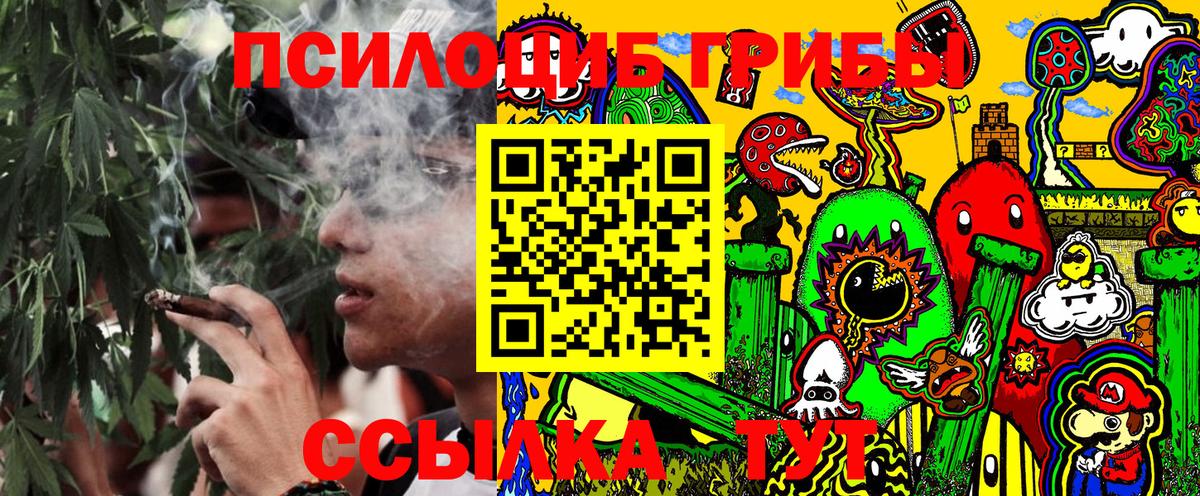 Галлюциногенные грибы MAGIC MUSHROOMS  Вход с VPN  Галлюциногенные грибы мухоморы  сколько стоит  Приморско-Ахтарск 